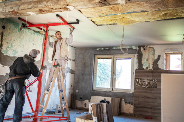 Best DIY Insulation Kits and Guidance in Overland, MO
