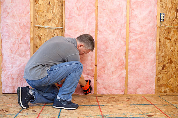 Best Specialized Insulation Services in Overland, MO