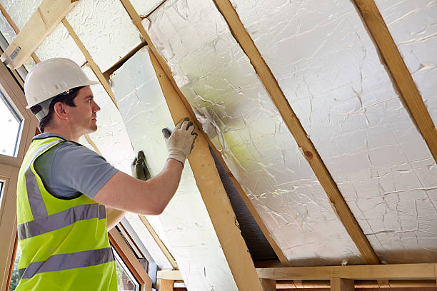 Best Geographic-Specific Insulation Services in Overland, MO