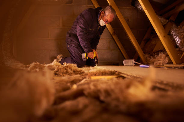 Best Eco-Friendly Insulation in Overland, MO